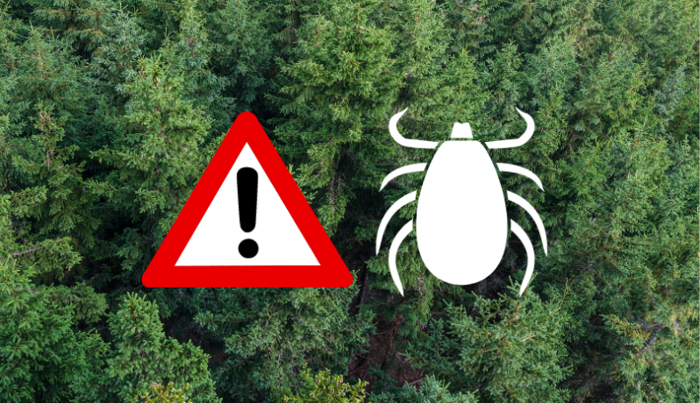 Waldlandschaft mit einer Warnsymbolik und grafischem Hinweis auf Zecken.